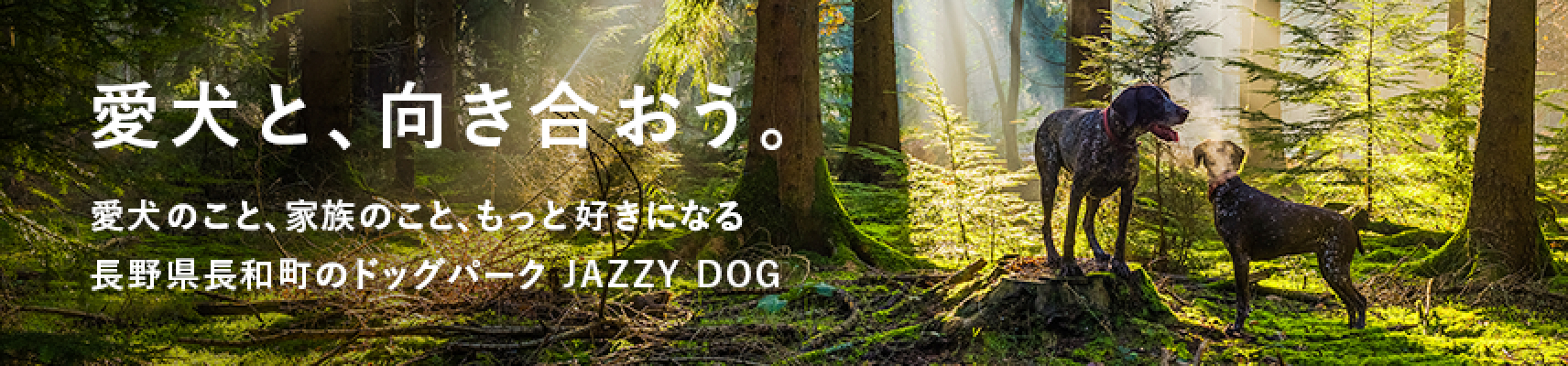 長野県長和町のドッグパーク JAZZY DOG